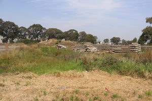 Overgrown grass a ‘fire hazard’