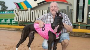 Lorne stars on memorable night