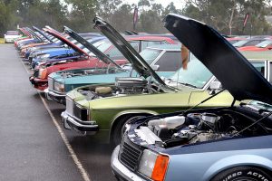 Nostalgia hits Holden vintage show