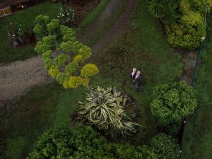 Urban forest saved