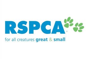 18 animals seized from ‘poor conditions’