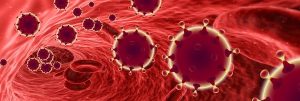 Covid cases remain steady at 15