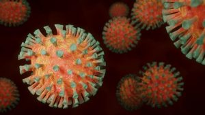 No new Covid-19 cases in South East