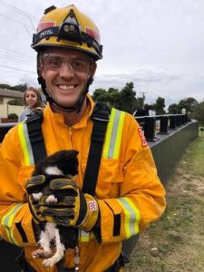 Firies save soggy moggy