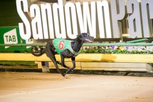 Fireball Friday’s fairytale Sandown victory