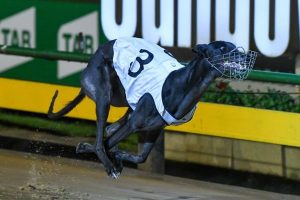 Blazing Cartier blitzes heat