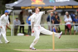 Dingoes join Southern Bayside