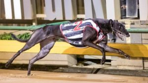 Simons says his best is yet to come