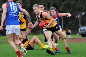 Young makes AFL debut