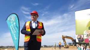 Somyurek gone amid branch-stack scandal