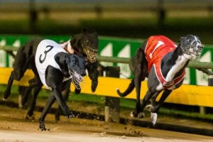 Blazing Cartier shines