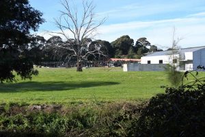 ‘Secret’ peace park discovery