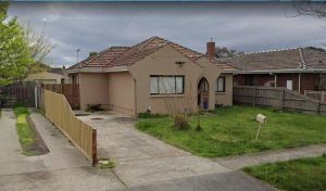 No Grace given for backyard giant