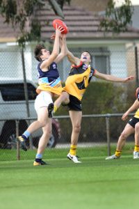 Stingray graduates continue to impress