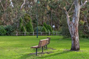 Covid-19: Exercise travel ban under scrutiny