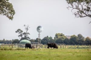 New candidates, pro-climate ideas