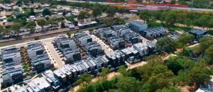 ‘All options’ open to save trees: council