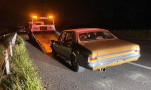Kingswood impounded in Lyndhurst