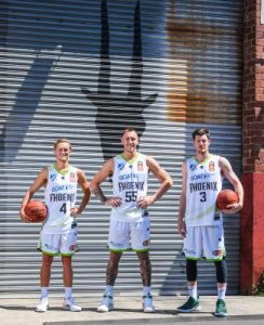 Phoenix to soar into bright lights