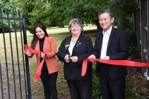 Vacant lot gets a makeover