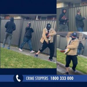 Appeal for witnesses in Keysborough theft