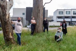 Bid to save village trees