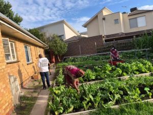 Garden brings new life