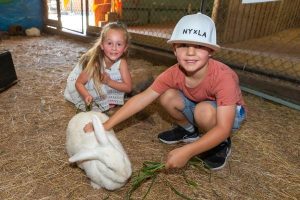 Fun in the farmyard