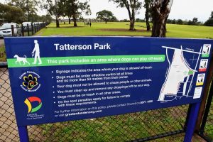 Dog-park poisons investigated