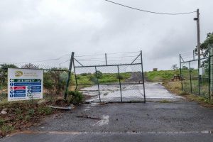 Council backs solar farm