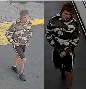 Driver battered in Springvale carjacking