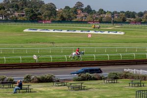Sandown collision course