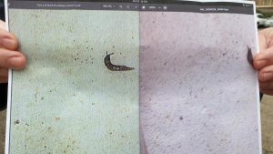 Slug-gate review