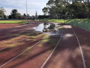 Runners maimed on hazard course