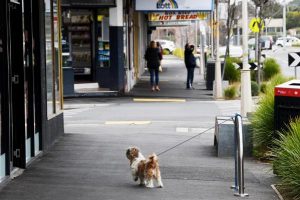 $500K for Noble Park
