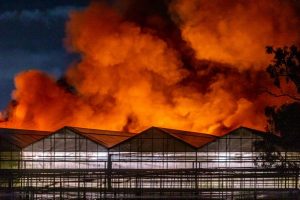 Massive fire engulfs greenhouse