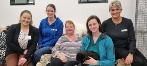 Animals’ dream home arrives