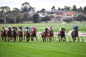 Alcyone back to his brilliant best