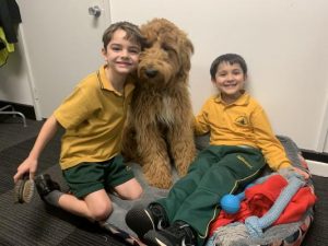 Why choose St Paul Apostle North for your child?