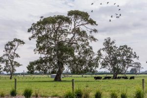 Plan to boost biodiversity
