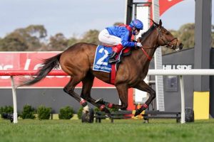 Zaaki sets scene for spring