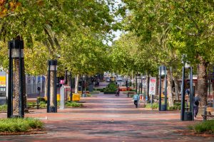 Covid-19: Vaccines in Palm Plaza