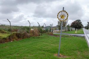 Park hopes shaded