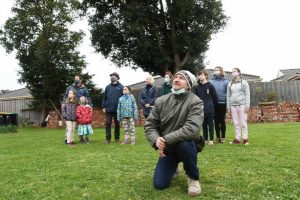 Trees vanish, strategy watered down