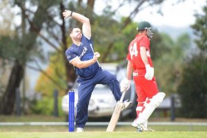Turf cricket gets the go ahead