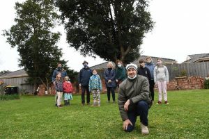 Tree law ‘crunch time’ ahead