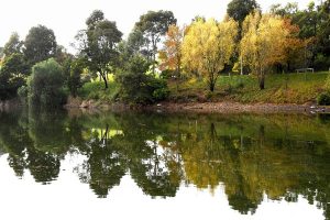 Free shuttle bus to run on weekends in Berwick