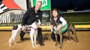 Melbourne Cup heats out of this world!