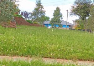 Mowers sent to urban jungles
