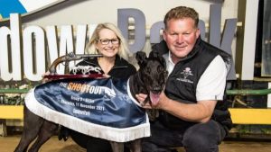 Triple Crown beckons for Shootout star
